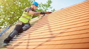 Best Roof Ventilation Installation  in Kachina Village, AZ